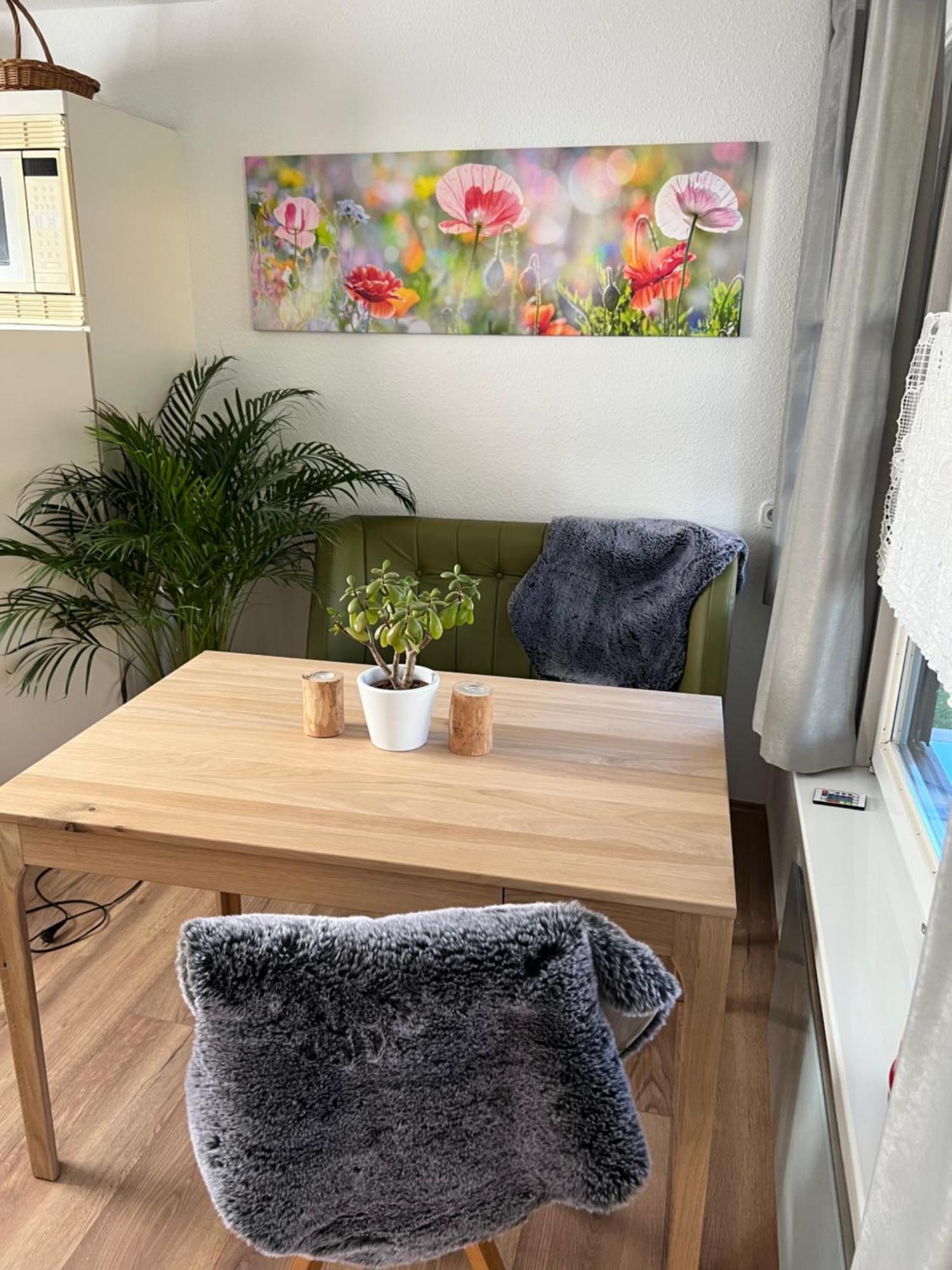 Apartment Erfurt-gemuetlich-sonnig-kueche-bad-garten-parken-pool-sauna-wlan-carogruen Erfurt