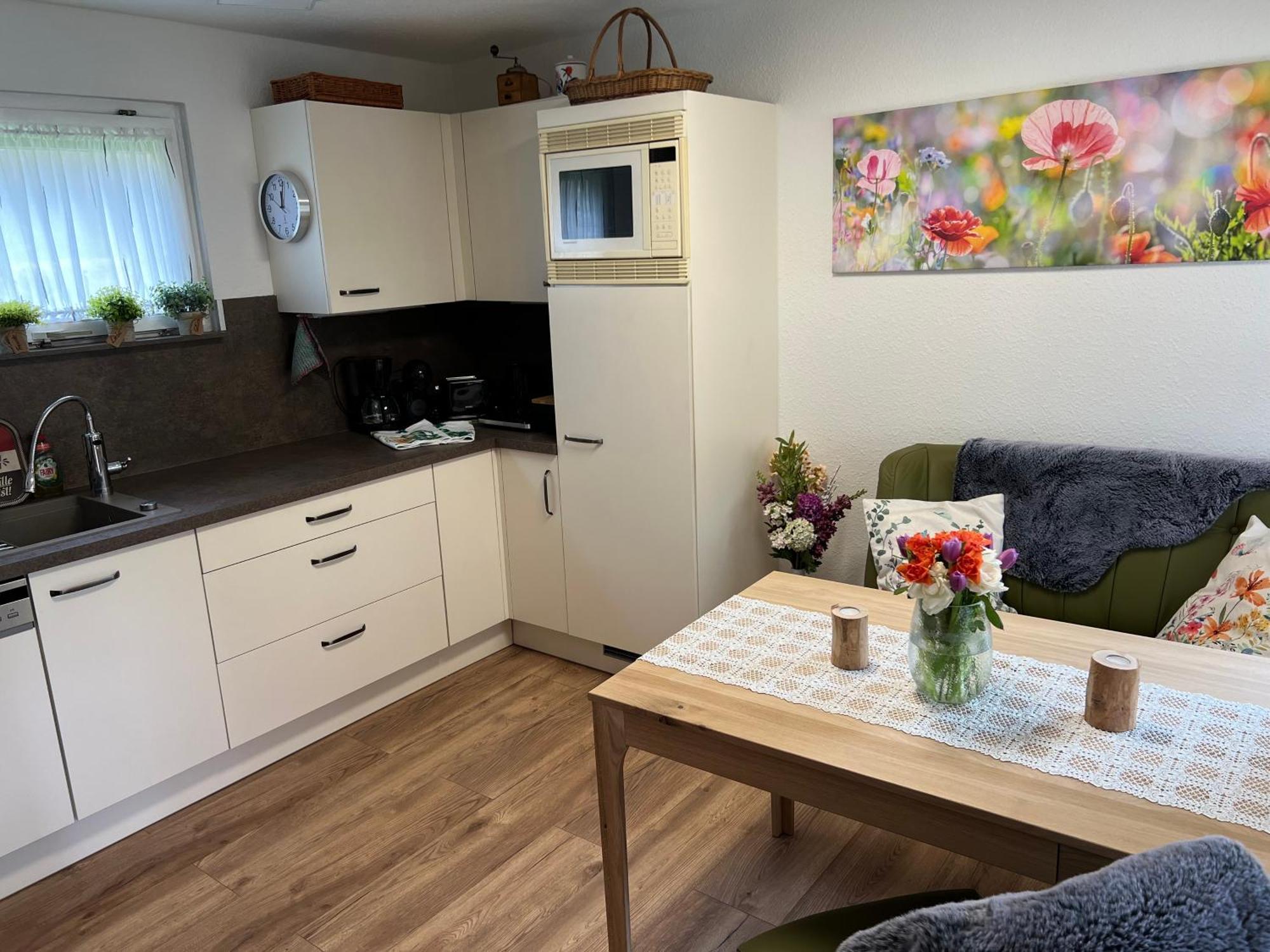 Apartment Erfurt-gemuetlich-sonnig-kueche-bad-garten-parken-pool-sauna-wlan-carogruen